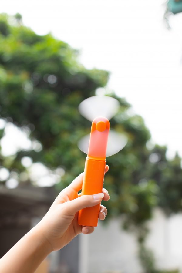 Fan^tastic Lipstick Fan
